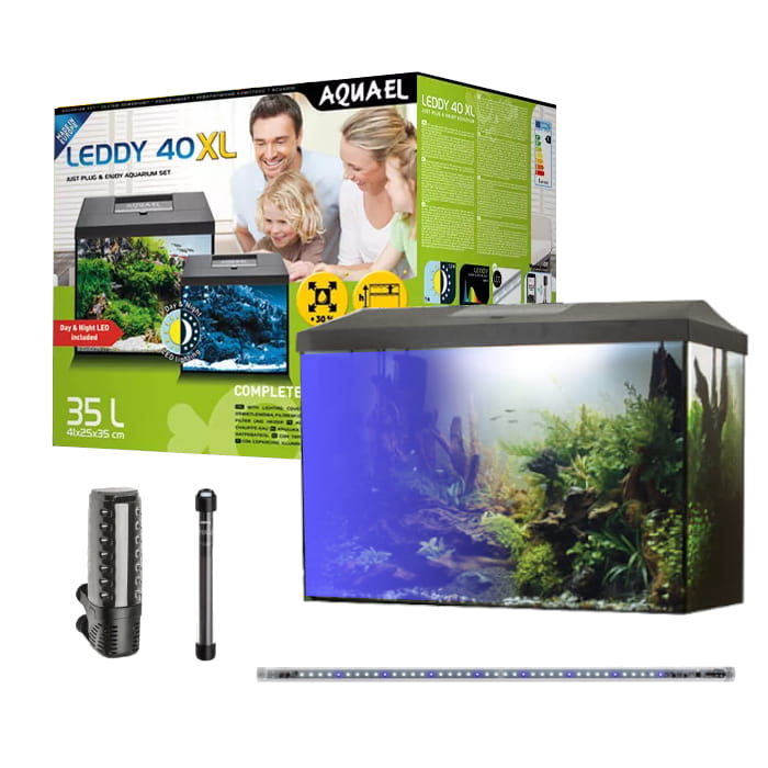 leddy xl 60.jpg